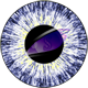 Benutzerbild von scarednight_archive