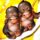 Benutzerbild von bananenmann_archive