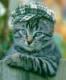 Benutzerbild von ramboger_archive