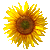 Benutzerbild von Extrawelt_archive