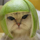 Benutzerbild von bmegbr_archive