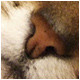 Benutzerbild von clownseuche_archive